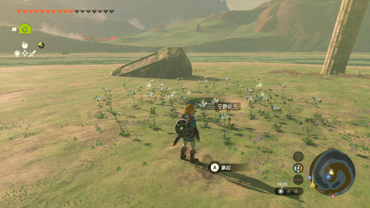 link01.jpg